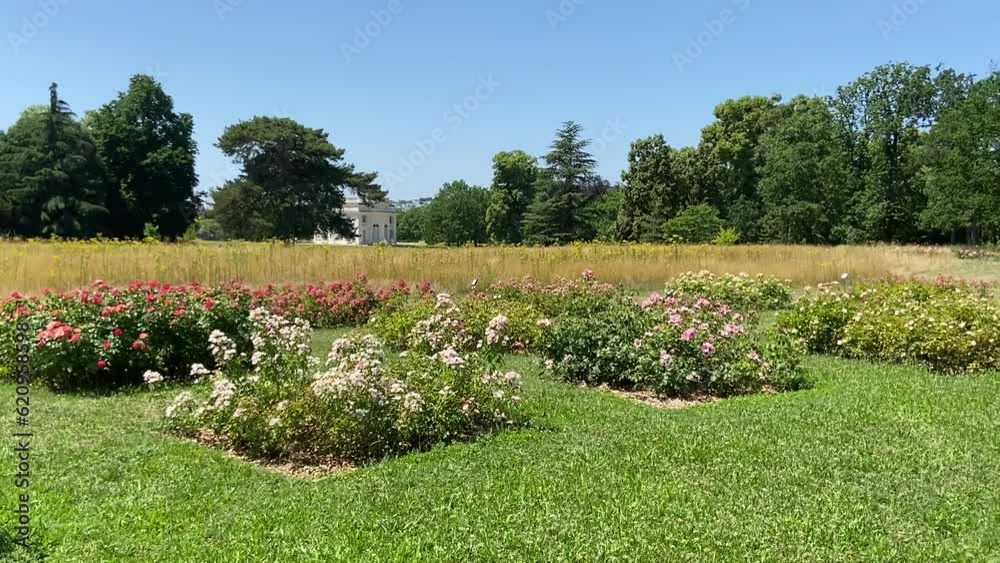 Fleurs du jardin de Bagatelle à Paris