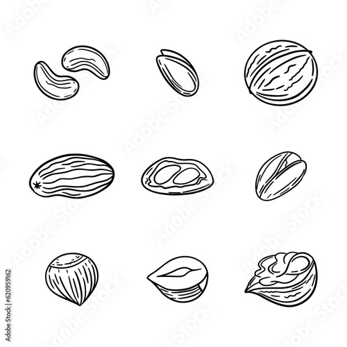 vector set nuts, drawn line icons set, almond, cashew, seed