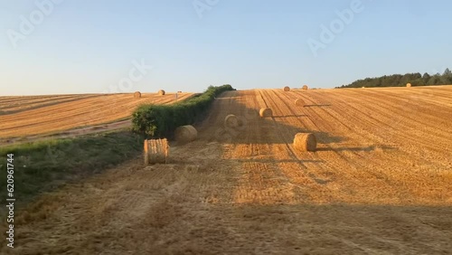 Rouleaux de pailles dans un champ en Bourgogne photo