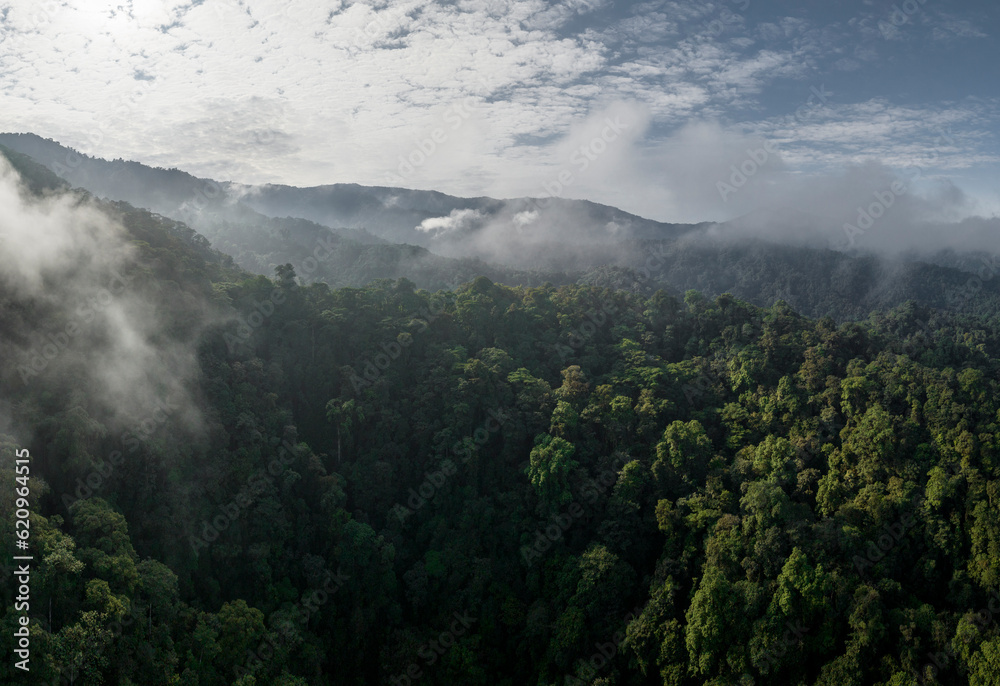 Aerial view of the Cloudforest, Mashpi, Reserva Mashpi Amagusa, Pichincha, Ecuador Aerial view of the Cloudforest, Mashpi, Reserva Mashpi Amagusa, Pichincha, Ecuador