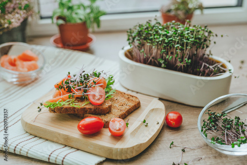 Sandwich with salmon fish  microgreens of radish and tomato