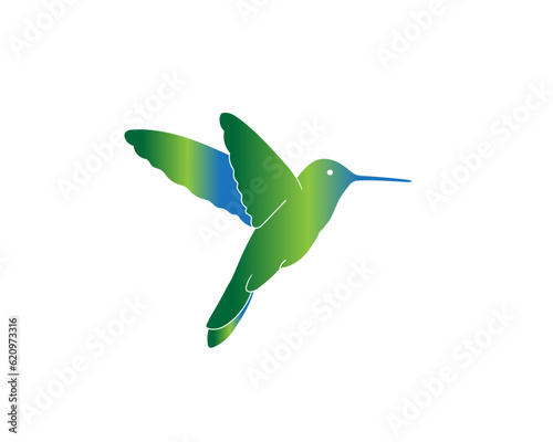 hummingbird in flight