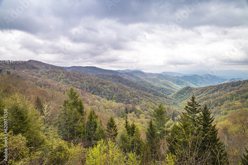 View over the Great Smoky Mountains National Park  North Carolina  USA