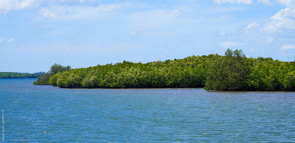 Mangrove seen on a small island between Ko Lanta Noi and Ko Lanta Yai in the province of Krabi, Thailand