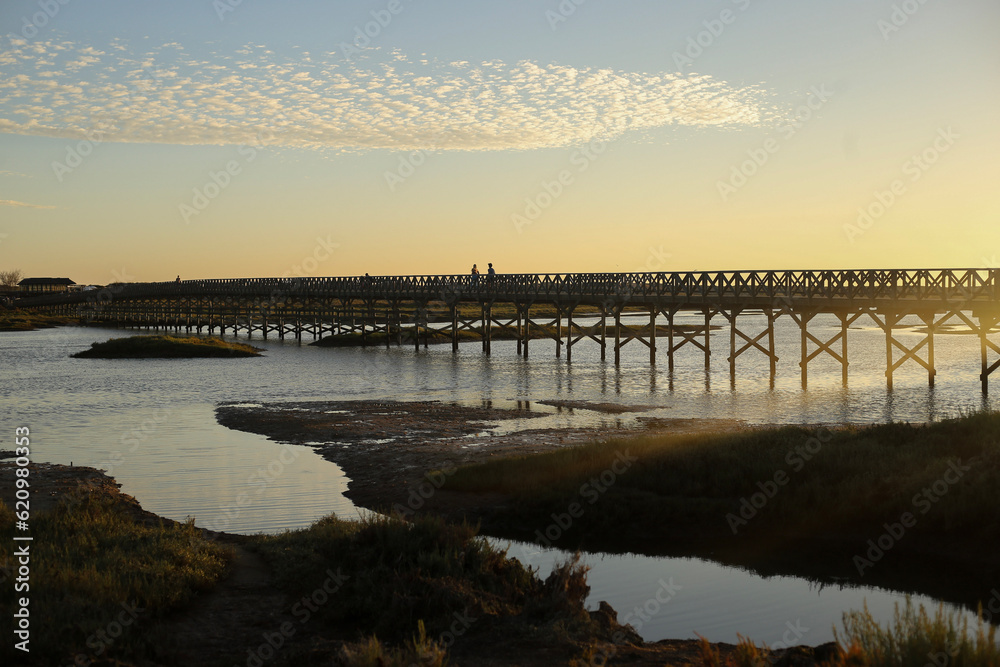 Passadiço ou ponte de madeira no Parque Natural da Ria Formosa, Algarve, em um dia ensolarado de verão, proporcionando uma vista deslumbrante da paisagem costeira e da diversidade da natureza.