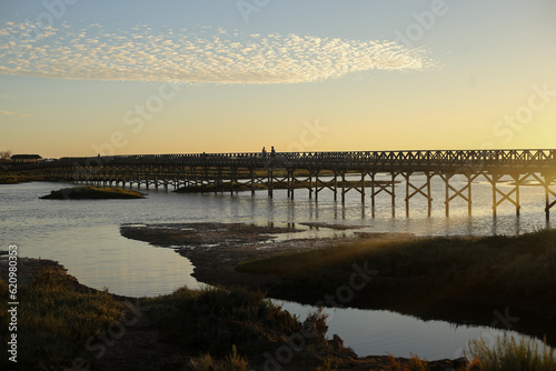 Passadi  o ou ponte de madeira no Parque Natural da Ria Formosa  Algarve  em um dia ensolarado de ver  o  proporcionando uma vista deslumbrante da paisagem costeira e da diversidade da natureza.