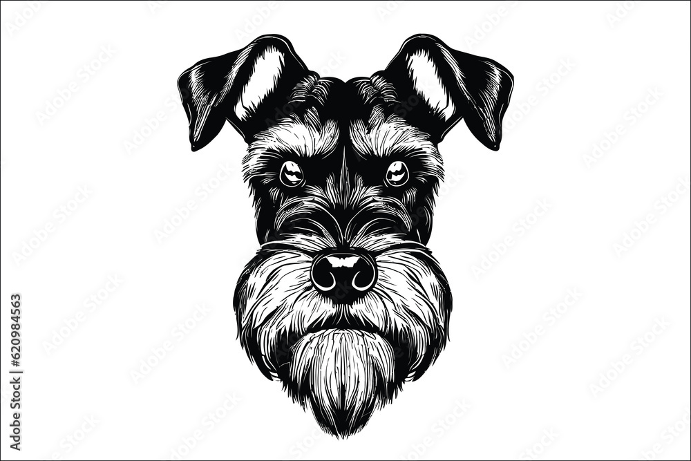 Captivating Schnauzer cat dog, the epitome of charm and loyalty. Perfect companion for dog lovers. Discover the joy of this adorable image