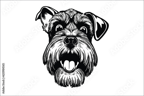 Captivating Schnauzer cat dog, the epitome of charm and loyalty. Perfect companion for dog lovers. Discover the joy of this adorable image photo
