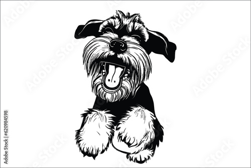 Captivating Schnauzer cat dog, the epitome of charm and loyalty. Perfect companion for dog lovers. Discover the joy of this adorable image