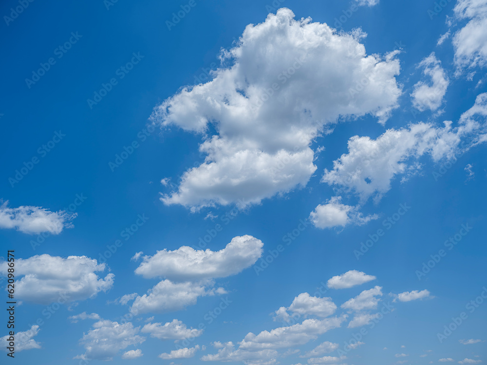 Fototapeta premium blue sky and white summer clouds