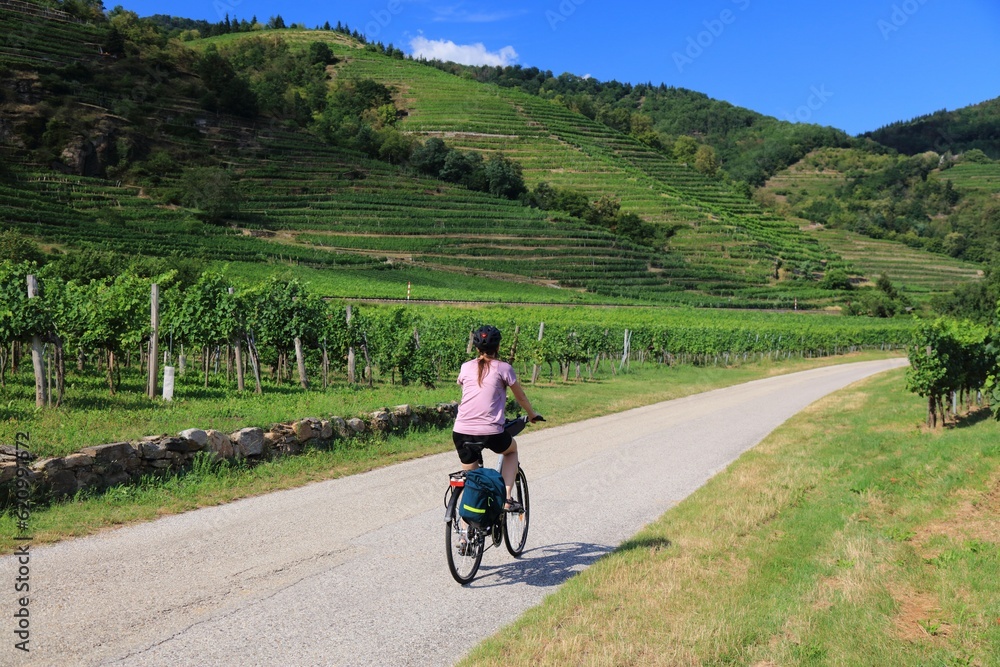 Danube Cycle Path (Donauradweg) in Wachau region. Long distance bicycle route in Austria. Woman cyclist among vineyards.