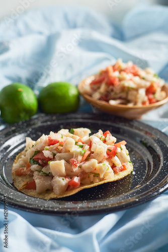 Traditional mexican and peruvian fish ceviche