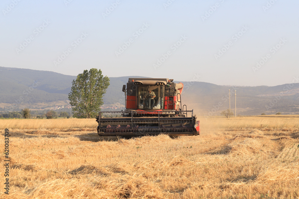 Fototapeta premium Image of combine harvester harvesting wheat.