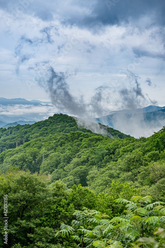 Canvas Print great smoky mountains national park