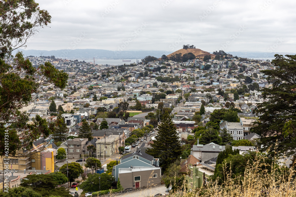 A view on San Francisco, CA from a hill