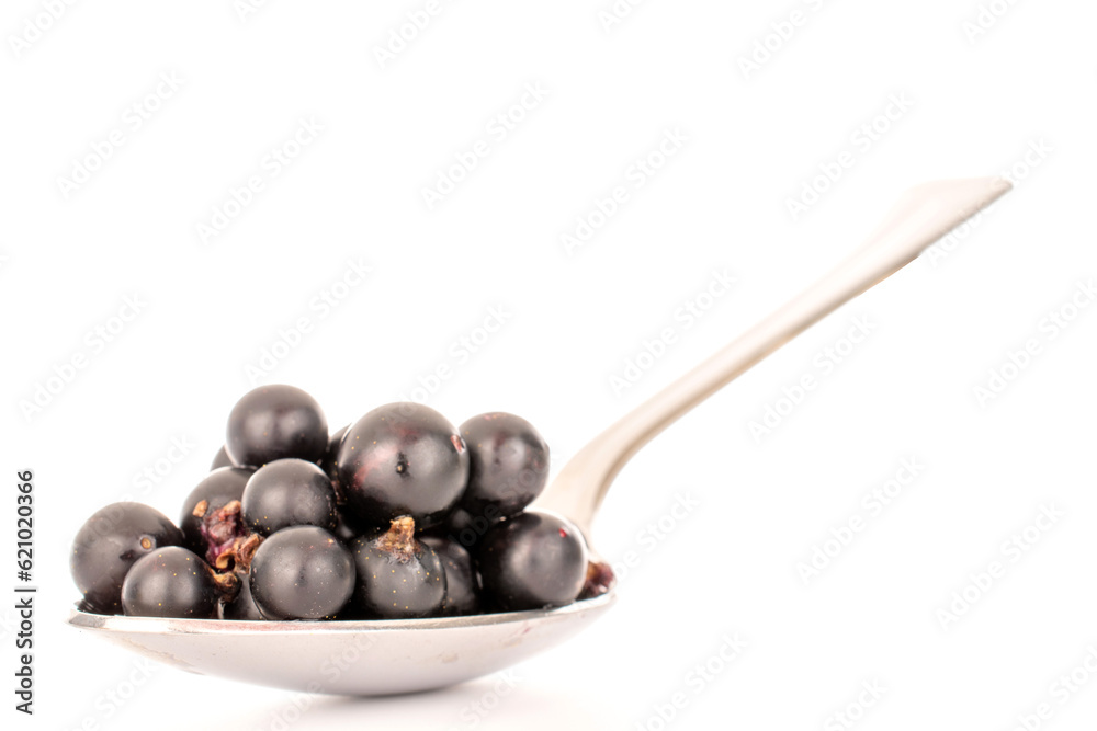 Fototapeta premium Several berries of sweet black currant with a metal spoon, macro, isolated on white background.