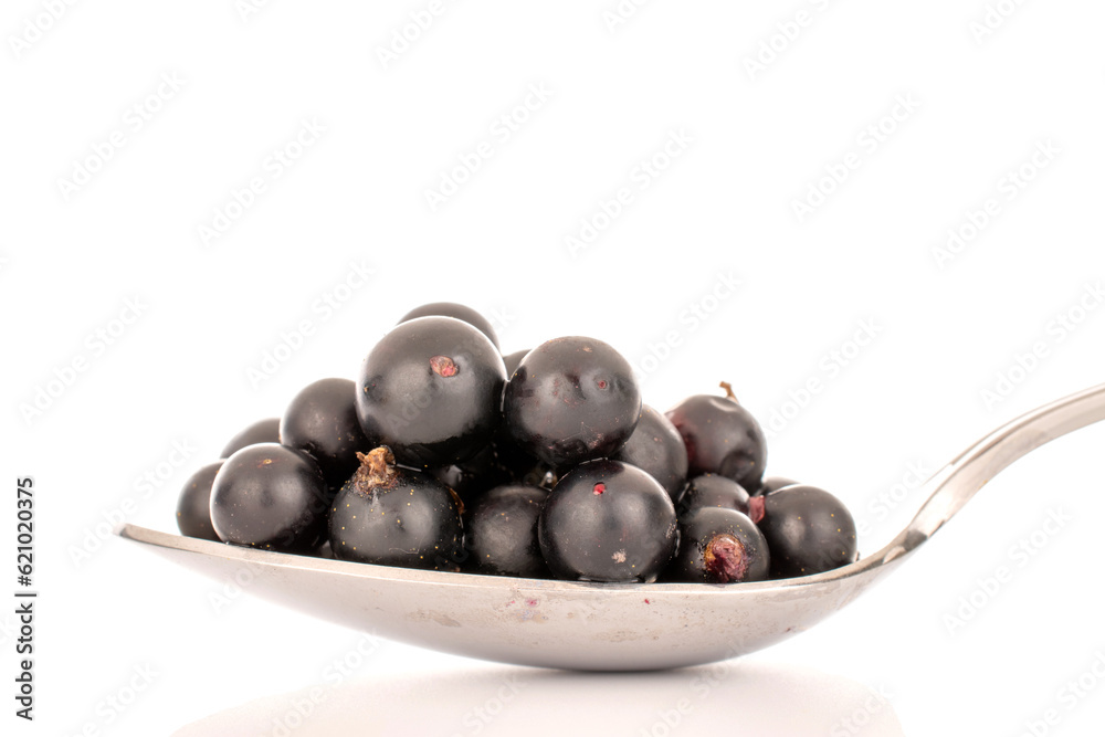 Several berries of sweet black currant with a metal spoon, macro, isolated on white background. Several berries of sweet black currant with a metal spoon, macro, isolated on white background.