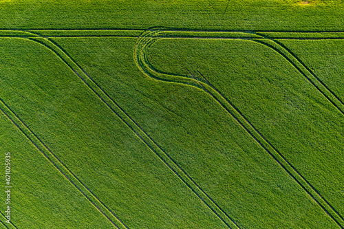 green agricultural field from above vith stripes