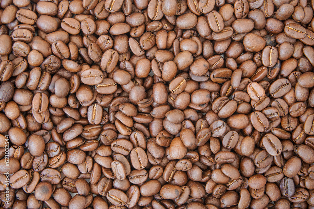 Fototapeta premium Coffee Beans isolated on white background