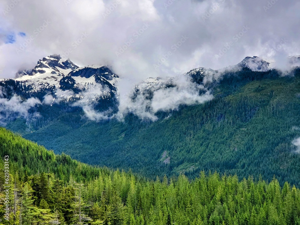 Fototapeta premium green mountain landscape