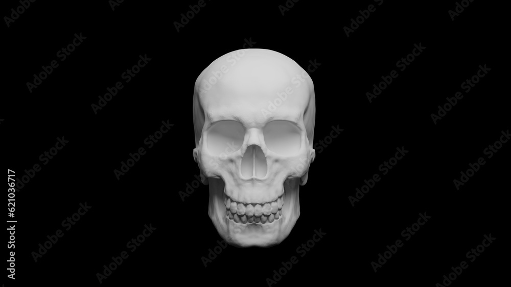 Men's skull 3d illustration on black background.  Realistic skull