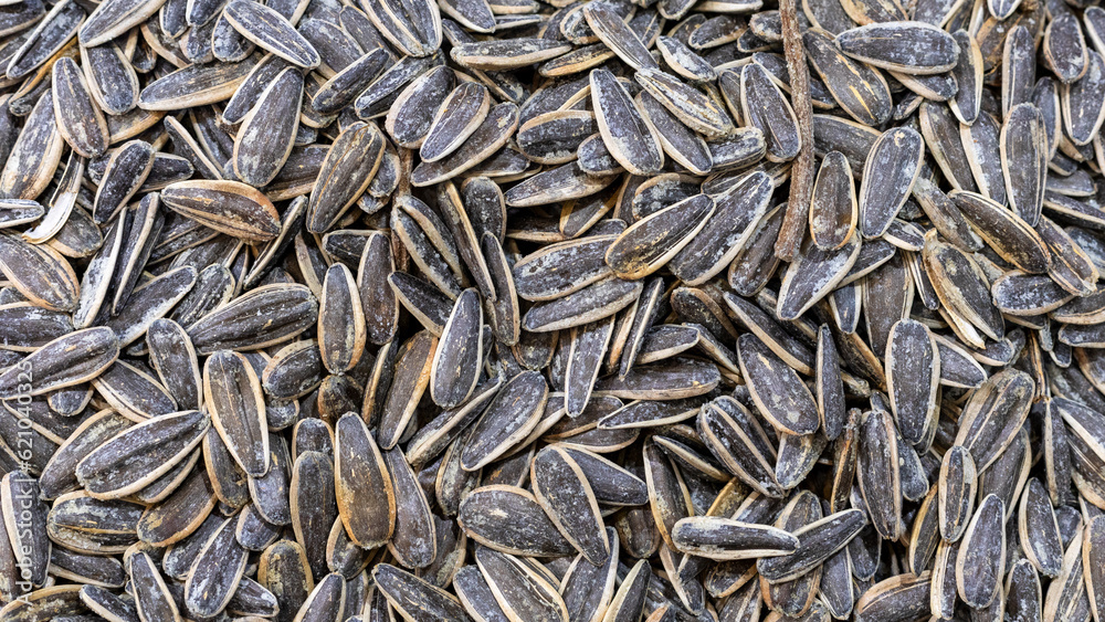 Striped black sunflower seeds, texture, background. Striped black sunflower seeds, texture, background.