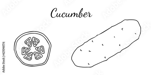 Hand drawn cucumber icon and lettering. Vegetables vector icon in old ink style for brochures, banners, restaurant menu and market.