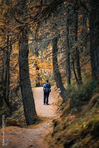 A photographer is taking pictures inside the beautiful forest near the Sils Lake, in Switzerland, during a moody autumnal day