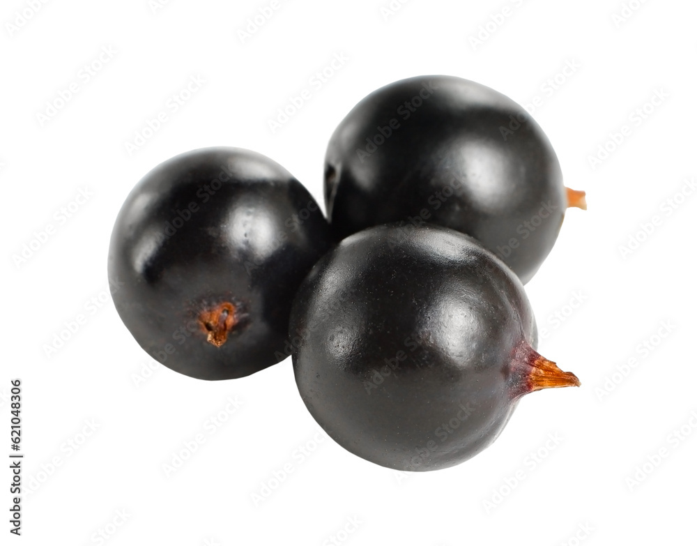 Fresh black currant, transparent background Fresh black currant, transparent background