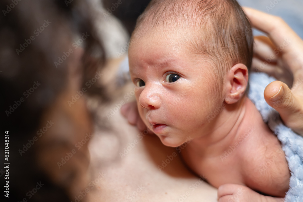 Adorable Newborn Baby Boy sitting on mother chest. Adorable Newborn Baby Boy sitting on mother chest.