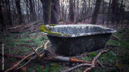 bathtub in the woods