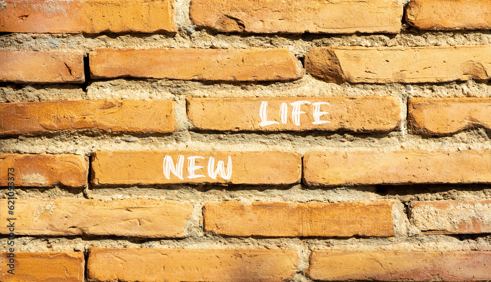 New life symbol. Concept words New life on beautiful brown bricks on a beautiful brick wall background. Business, support, motivation, psychological and new life concept. Copy space. New life symbol. Concept words New life on beautiful brown bricks on a beautiful brick wall background. Business, support, motivation, psychological and new life concept. Copy space.
