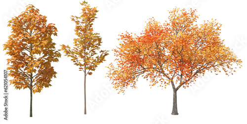 set of autumn trees 