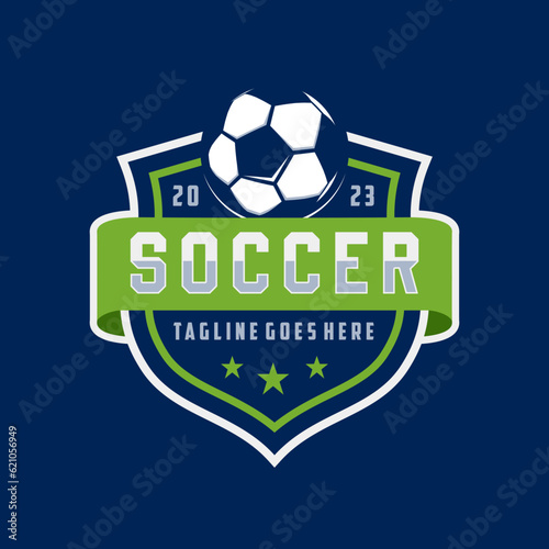 Vintage badge emblem Football soccer sport team club league logo with shield and ball concept icon vector