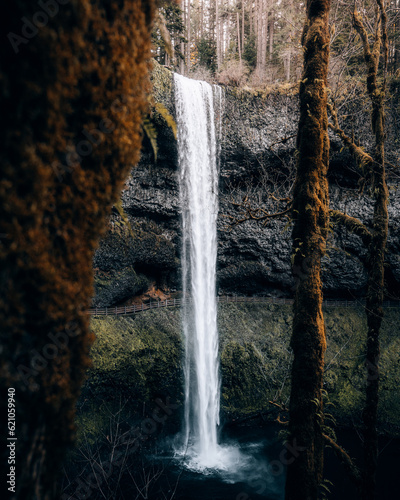 waterfall with trail