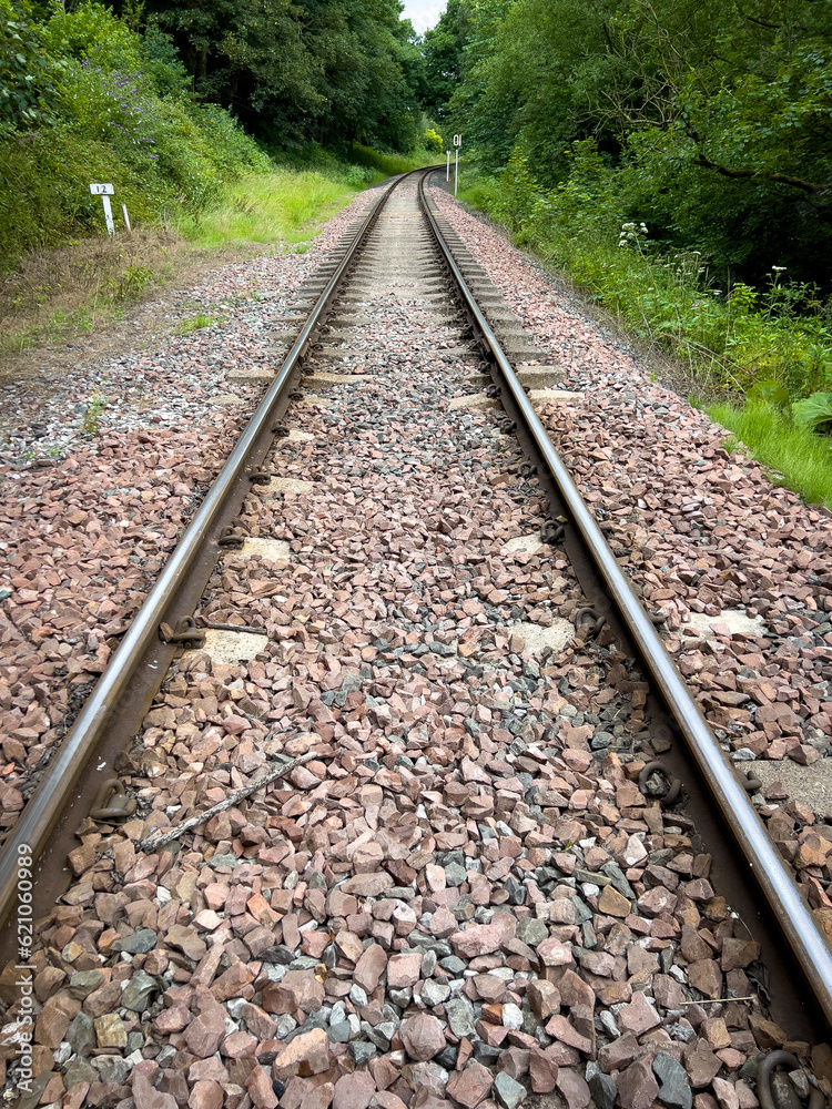 Woodland Railway Tracks 