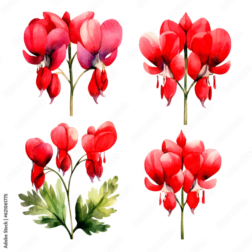 red bleeding heart floral set, red flowers