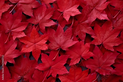 Wine red autumn leaves texture  fall nature background   AI Generative