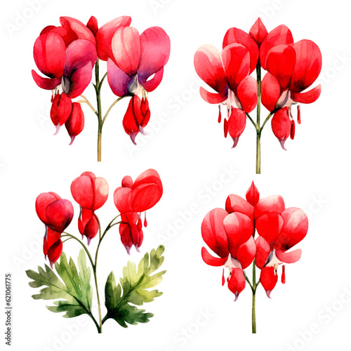red bleeding heart floral set, red flowers