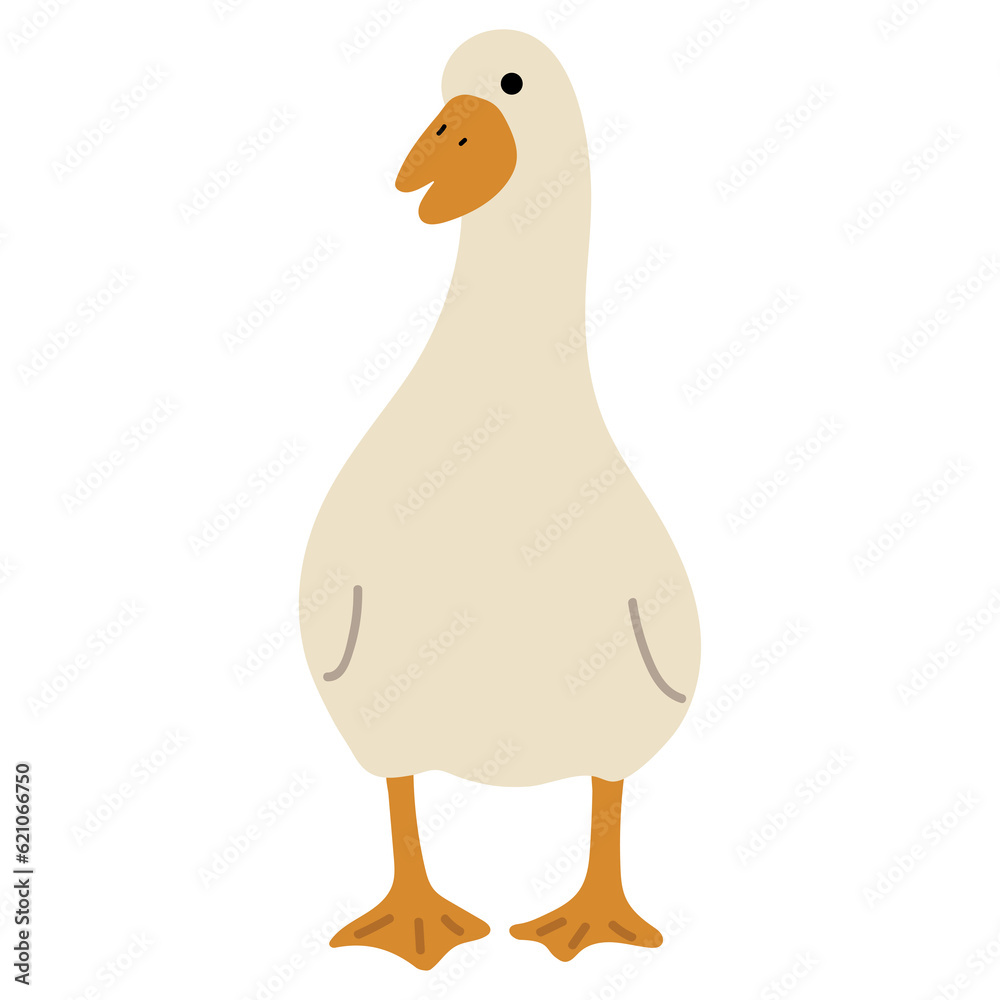 Duck White Single 13 PNG Duck White Single 13 PNG