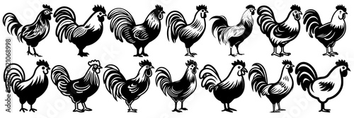 Chicken silhouettes set, large pack of vector silhouette design, isolated white background