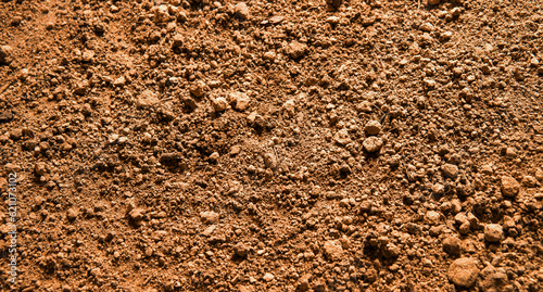 Stampa su tela Natural background. Light soil close up