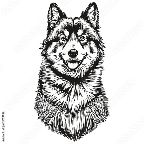 Finnish Lapphund dog logo vector black and white, vintage cute dog head engraved