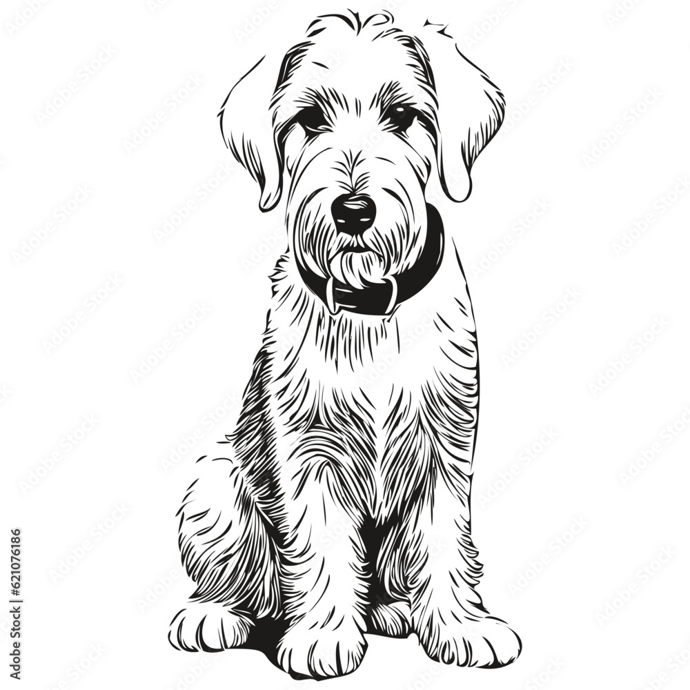 Sealyham Terrier dog vector face drawing portrait, sketch vintage style transparent background realistic breed pet Sealyham Terrier dog vector face drawing portrait, sketch vintage style transparent background realistic breed pet