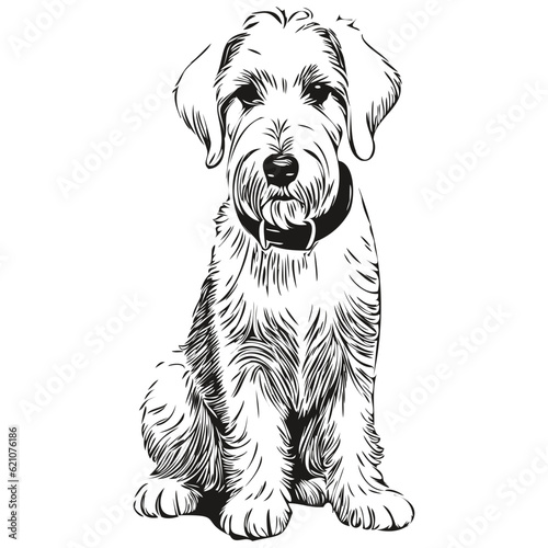 Sealyham Terrier dog vector face drawing portrait, sketch vintage style transparent background realistic breed pet