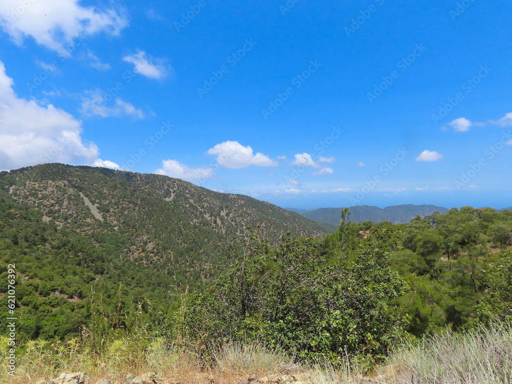 Beautiful panoramic view of the mountains and the forest of Cyprus in summer.