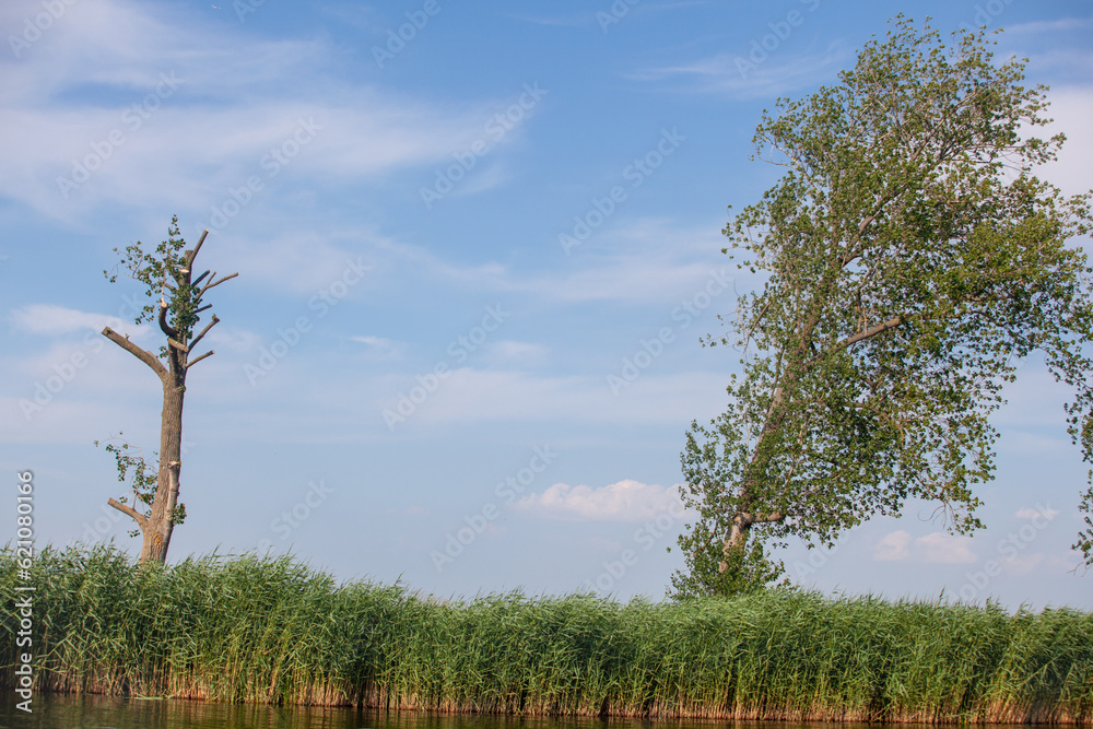 Obraz premium Netherlands, Holland, Amsterdam, Rokin, Zaanse, Schans, Monnickendam, Muiden, Muiderslot, Rotterdam, Jiburg, Hoorn, kasteel De Haar, fort Uitermeer, Naarden, Zunderdorp, Begijnhof, Zeedijk, travel