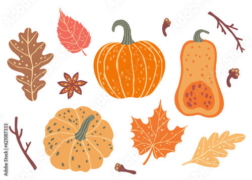 Autumn pumpkin, spice and forest leaves. Fall season. Set of vector illustrations.