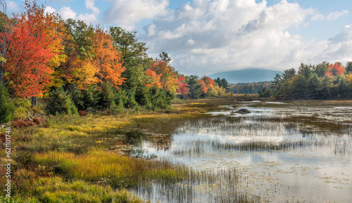 Obraz na plátně Autumn colors at Acadia National Park - Duck Brook Road - New Mills Meadow Pond