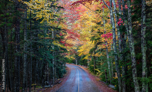 Fotografie Autumn  colors in Acadia National Park - Echo Lake Beach Road - Maine